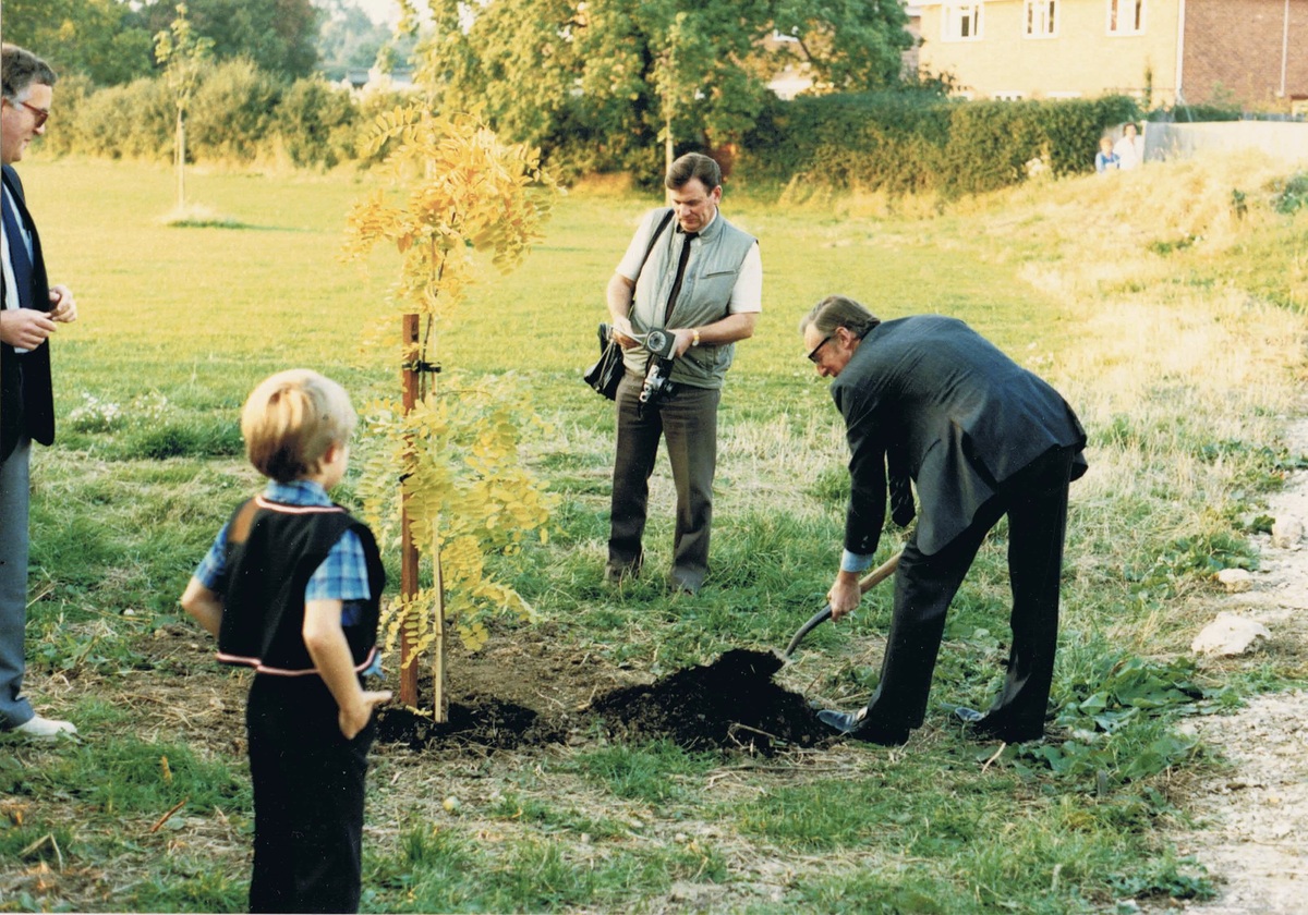 Tree Planting (B)